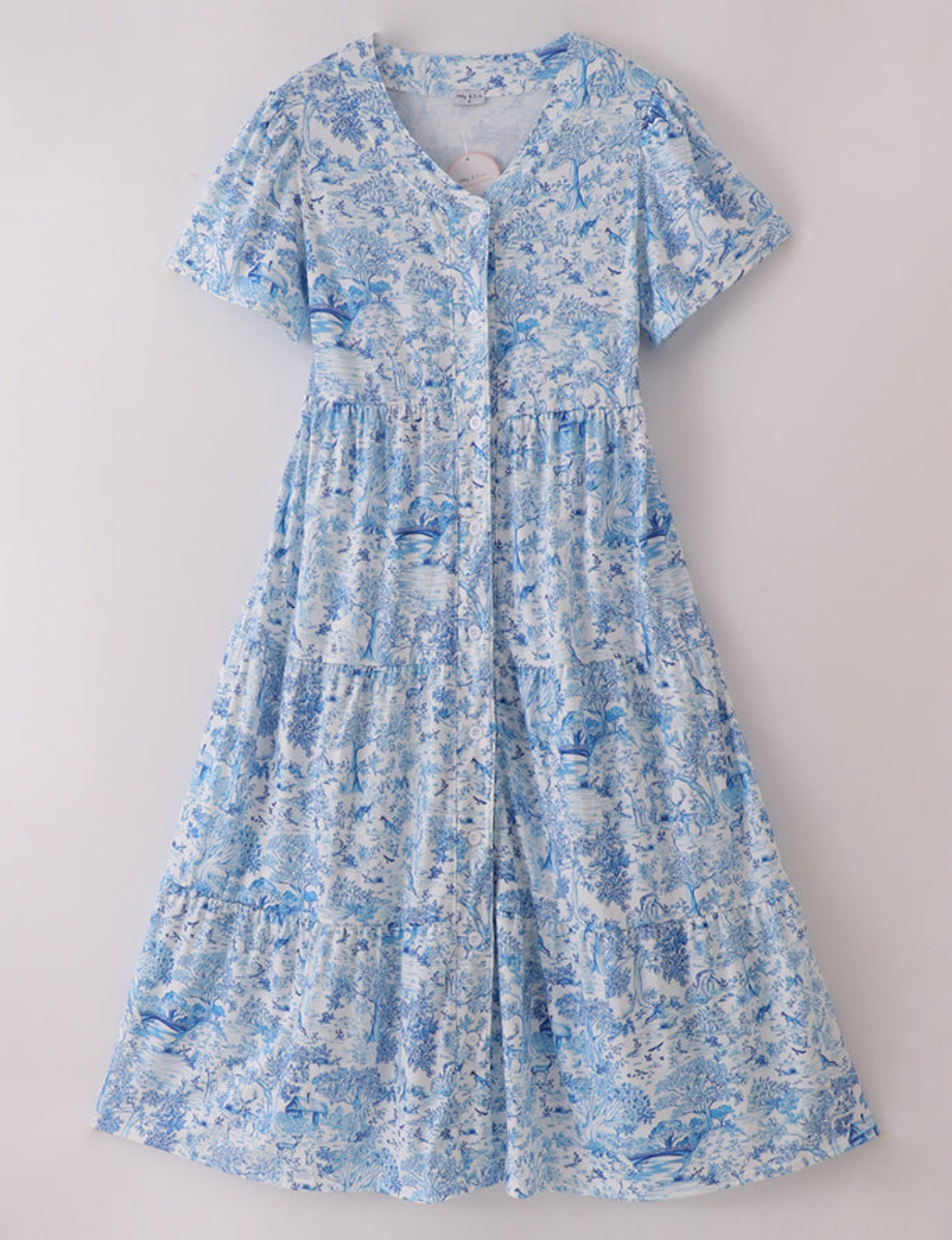 Blue toile mom dress