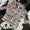 Camo pullovers