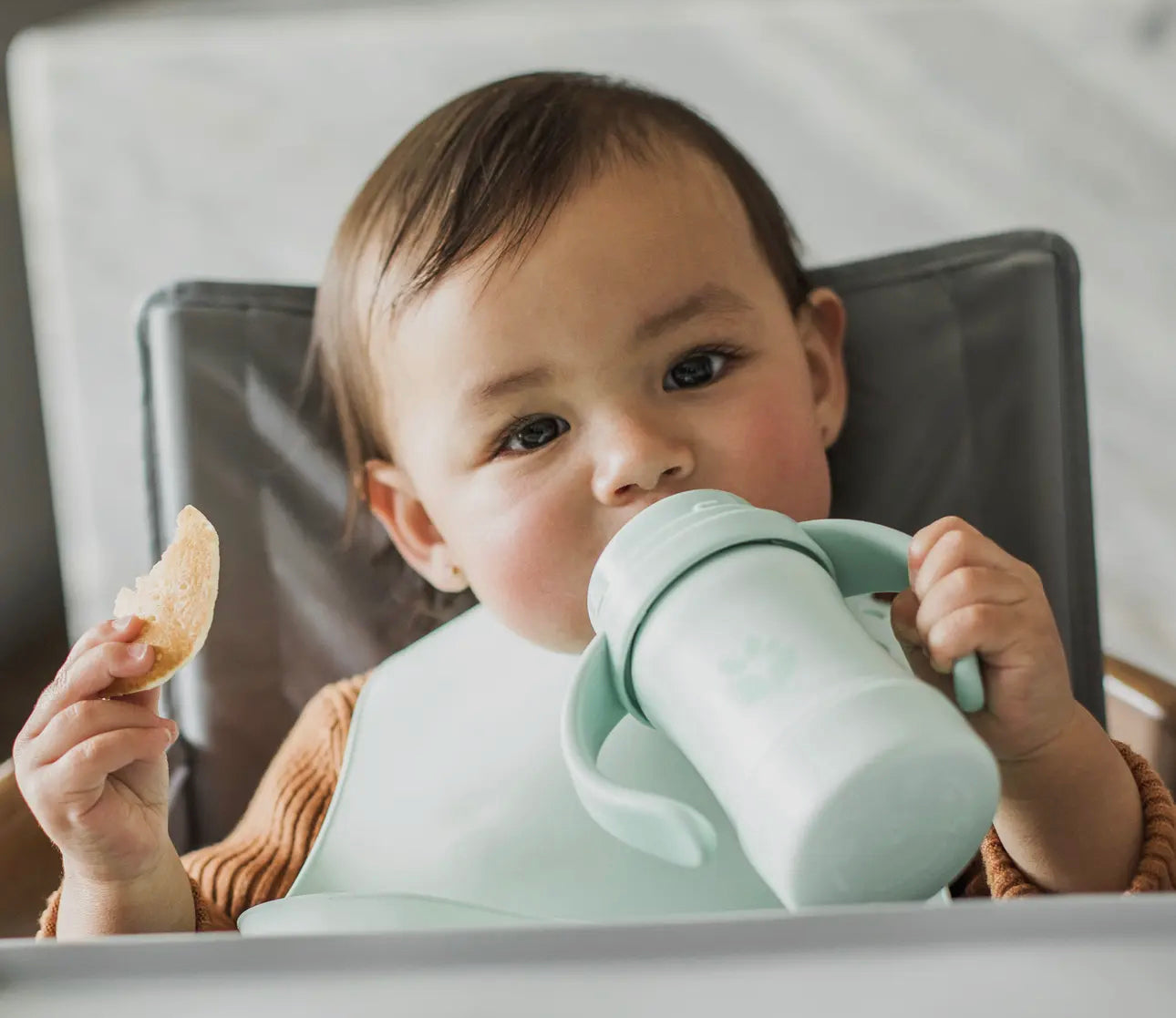 Sip & Straw Cup with Handles
