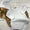 Newborn- 3M gown- INCLUDES NAME/MONOGRAM