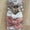 Bow set