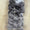 Bow set