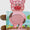 Little pig sensory friend