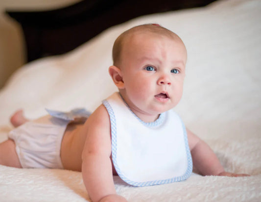 Blue gingham edge bib- EMBROIDER ME