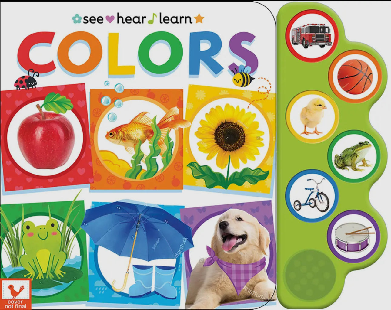 Colors 6 button sound book