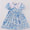 Blue toile girls dress