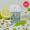 Touchland Hand Sanitizer - Frosted Mint
