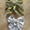 Alligator Clip Bows