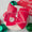 Santa moon Stitch bow
