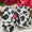 Cow print texas size bow
