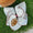 Football bows