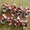 Basketball clip bow