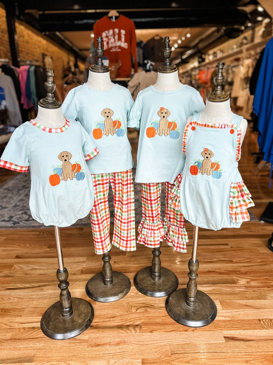 Boys Puppy pumpkin pant set