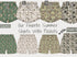 Camo shorts #3