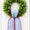Blue/white red ric rac sash