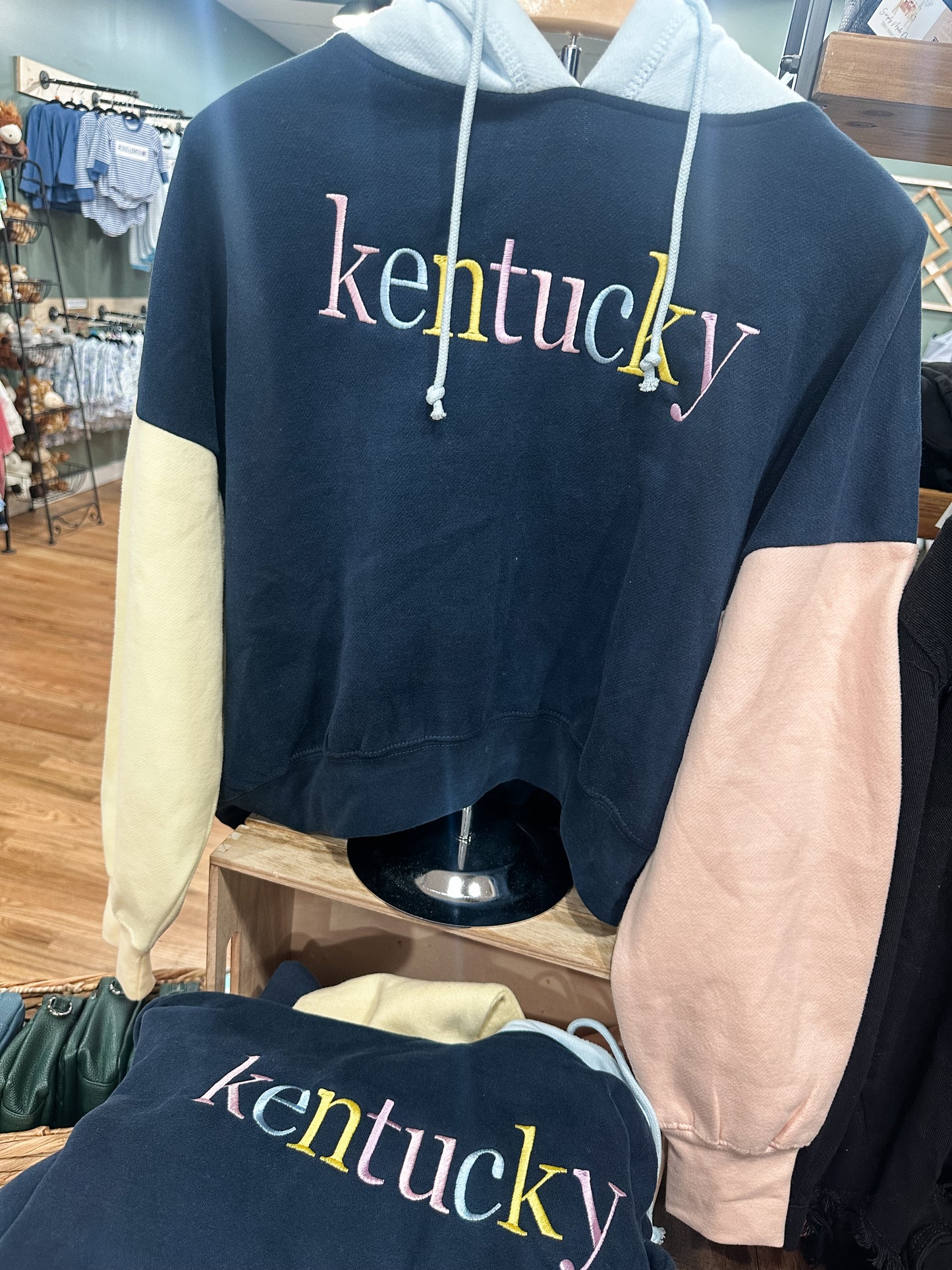 Kentucky embroidered colorblock hoodie