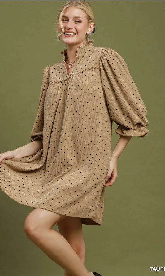 Swiss Dot Ruffle Neck Babydoll Dress