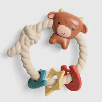Rizy rattle teether rattle