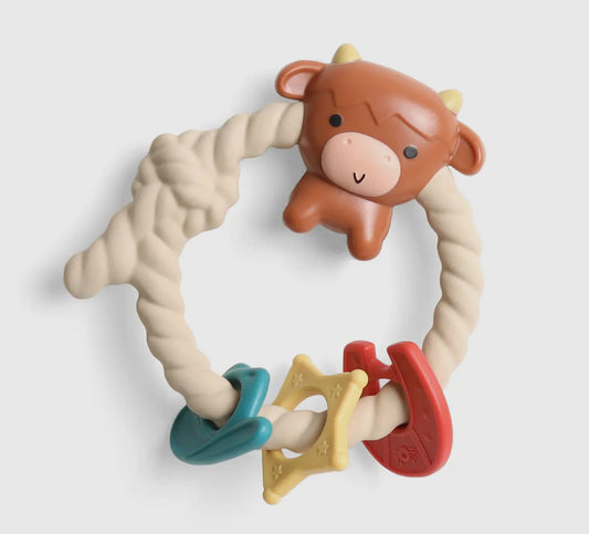 Rizy rattle teether rattle