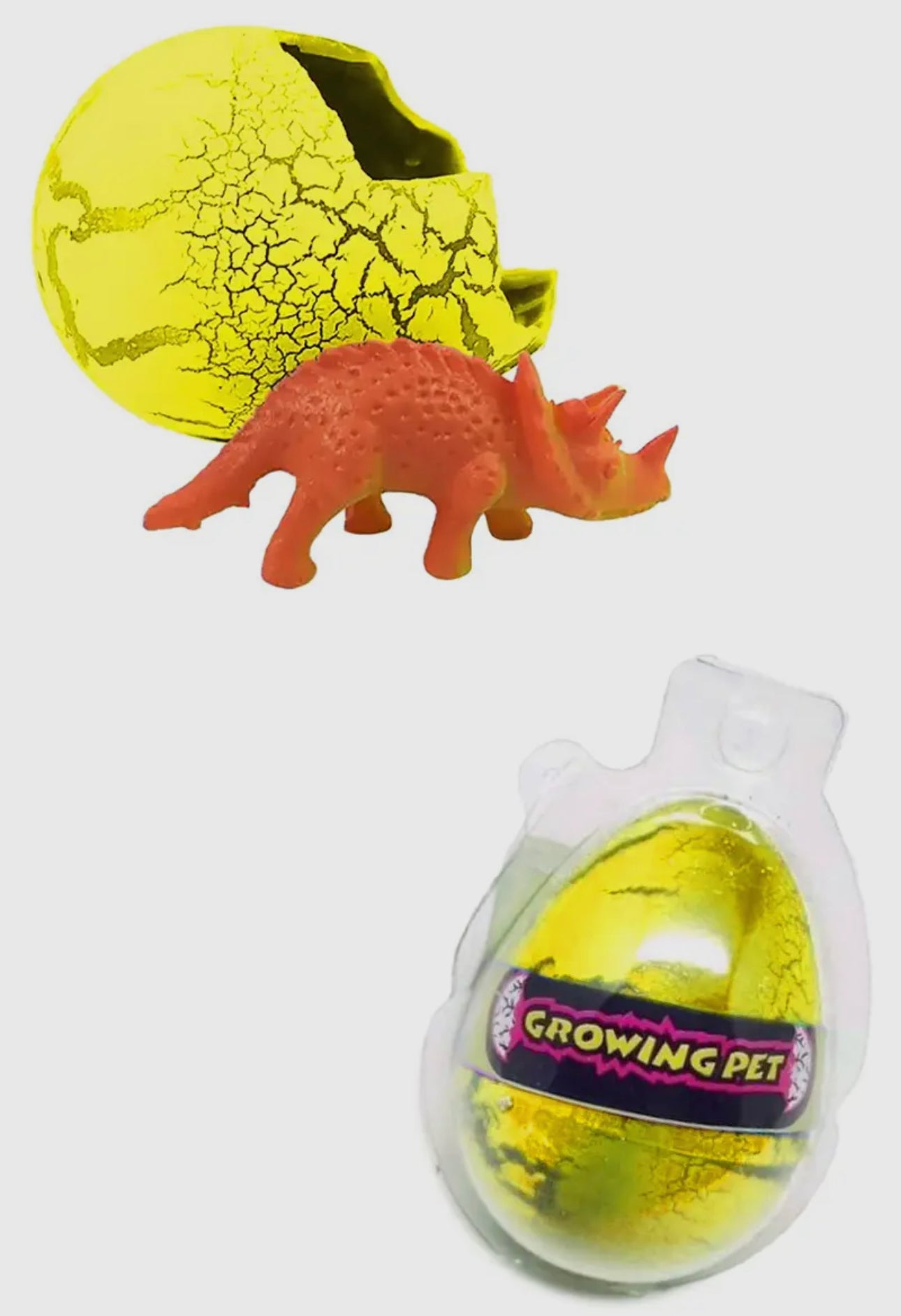 Dinosaur egg water growing hatching toy