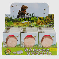 Dinosaur excavation