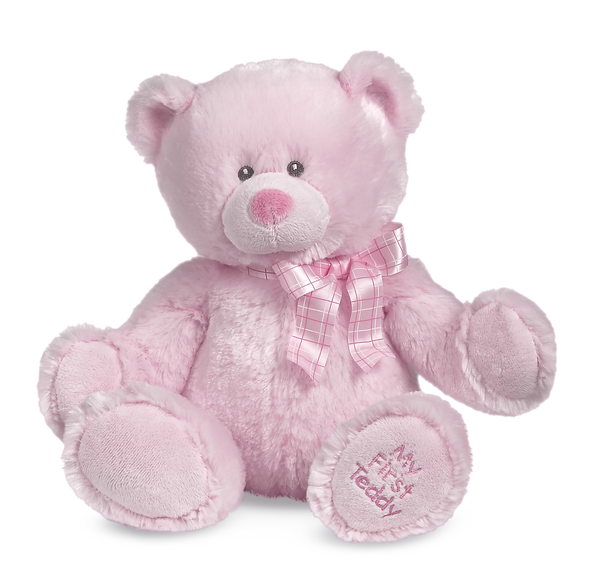 My first Teddy 8in