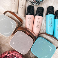 Wireless karaoke speakers with 2 mics