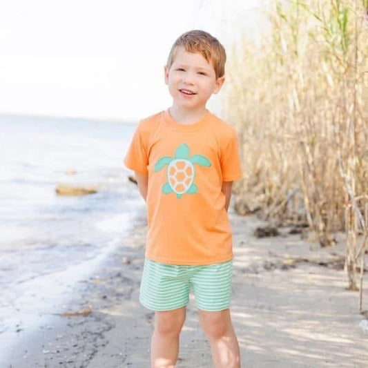 Turtle boys set 3T