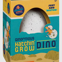 Hatching grow Dino